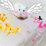 ★☆우리집 햄스터 <b>숭늉</b>이!☆★