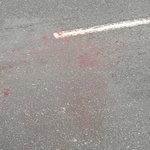 ★☆★☆(사진有)인정사정없는 <b>로드킬</b> 당한 강아지에 대한태도★☆★☆