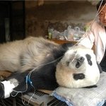 님들아..승리병원에<b>입원</b>햇대요....