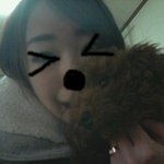 ★☆★☆(사진有)토이푸들의실체☆★☆★