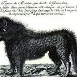 인간을 가장많이 잡아먹은 맹수 랭킹