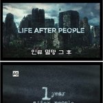 <b>인류</b> 멸망 후 모습