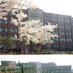 ◆추가◆사진有)) 진정한 패션왕은 안산 d고  ◆※◆◆※◆