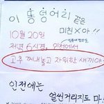 대학별 쿨<b>가이</b>