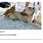 팡희