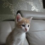 ♥스압주의♥저는<b>박봄</b>을키웁니다♥사진多♥