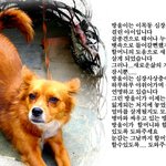 @@지나치지 말고 꼭 읽어주세요! (개판)@@