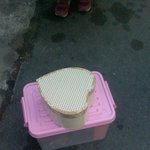 <b>의문</b>인 화이트데이남친선물
