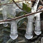 송알송알싸리잎에 ㅈ<b>구슬</b>