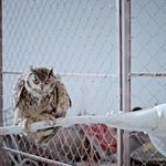 ★☆★사진有 빅뱅 판타스틱베이비 뮤비해석★☆★