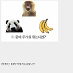 동양인과 서양인의 차이 (+모바일<b>배려</b>추가)