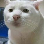 뻘글쓰던 뭔 <b>상관</b>이야ㅡ