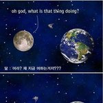<b>잉어</b>인간의웃짤모음★★★★달과지구의대화★★★★