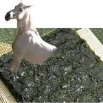 ㅋㅋㅋ님들아 <b>말</b>나온<b>김</b>에