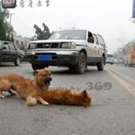 야이 <b>사람</b><b>새끼</b>들아!!!