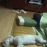 ★★★★★★★전국의 <b>토토</b>들 보고있나★★★★★★★★
