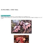 ◆108탄 지구에 존재하는 기괴한 <b>식물</b>들 ◆