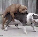 앰<b>병</b> 죠또 아닌 <b>x</b>이