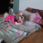 안녕 하<b>새요</b> 처음으로 글올리는 저 인사드릴개요 ^^*