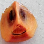 시즌2)★★덜덜덜의 이해하면 무서운 이야기 21