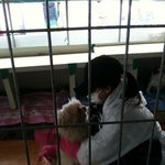 유기견 보호소에 간 송혜교