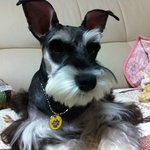 ◆◆◆슈<b>나우</b>져의역사를새로쓰겠다~!!◆◆◆