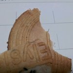 (앗,짜증)가공된제품에서이물질이!!!!