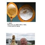<b>잉어</b>인간의웃짤모음★★★★신기한 과일★★★★