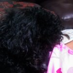 </사진有)★★★우리집 쵝오 동안미녀 <b>야미</b>를 소개합니다~~~^^★★★