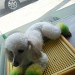 꽃샘<b>추위</b>..