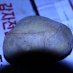 하두기가막혀서글을올립니다