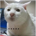 [스타킹 화장의<b>달인</b>/산소파운데이션] 스타킹에 출연한 화장의 <b>달인</b>이...