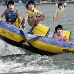 80년생 원숭이 <b>종자</b>들 주목 합니다~!