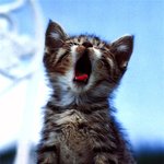 ★★충격실화★★ 어제 겪은 <b>pc</b>방 똥사건..