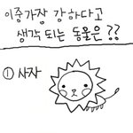 ★★★누가 가장 강할까요★★★