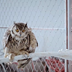 ★★★빅뱅 fantastic <b>baby</b> 뮤비 해석 (신개념 - 가면의미...