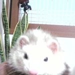★★★사진有느님♥흔한듯 흔하지않은 우리딸보러오세요*.*★★★
