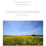 <b>제주</b>도가고싶지않으세용?????