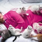 ★★★고양이와 <b>훈남</b>들(스압)★★★