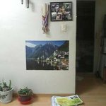 ☆★☆★우리할머니의 흔한 <b>취미</b>생활