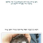 ★★★고양이도 <b>미소년</b>이 있다★★★★