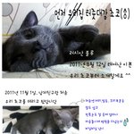 사진有) ★내 동거남녀를 소개합니다★