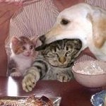 우리엄마가 제앞에서 괴한한테...<b>두눈</b>으로보고말앗습니다..