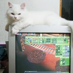 [병맛주의] 종이의 첫번째 <b>수난</b>.