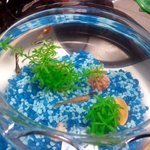 열대어 300마리와 동거하는 여자