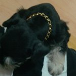 (사진有) 앞으로 나와 함께할 우리 <b>꼬물</b>이