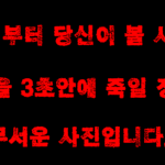용기있는<b>자만</b> 봐라 경고했다