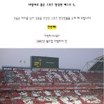 전 국민이 <b>열광</b>한 스포츠 명장면!