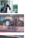 한국<b>vs</b>일본vs미국vs북한 초딩들