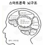 스마트폰족 뇌<b>구조라</b>네요 ㅎㅎㅎ
